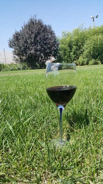 Wine Tasting at Domaine Wardy 